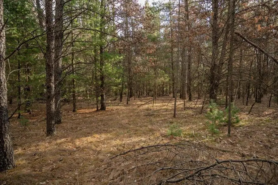 Lot 3 Meadow Drive, New Lisbon, WI 53950 - #3