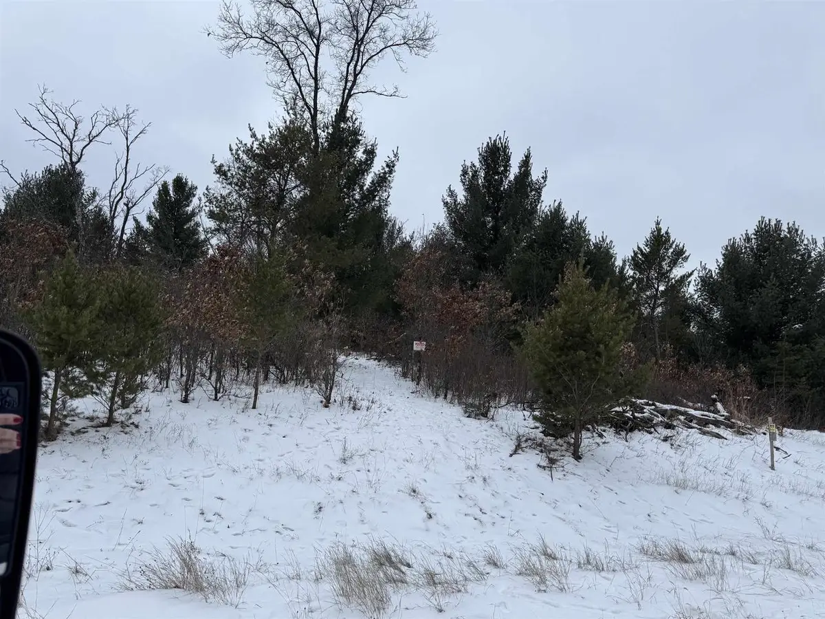 Gale Avenue, Wisconsin Dells, WI 53965 - #1