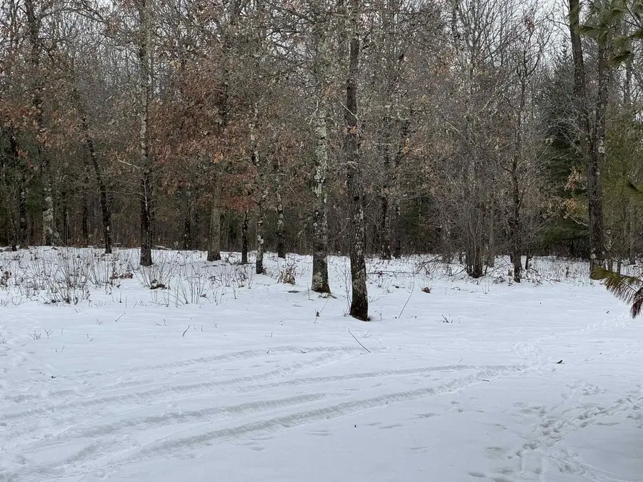 Gale Avenue, Wisconsin Dells, WI 53965 - #3