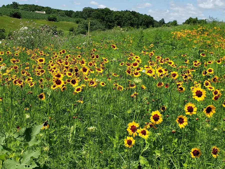 L2 N Hay Hollow Road, Blanchardville, WI 53516 - #2