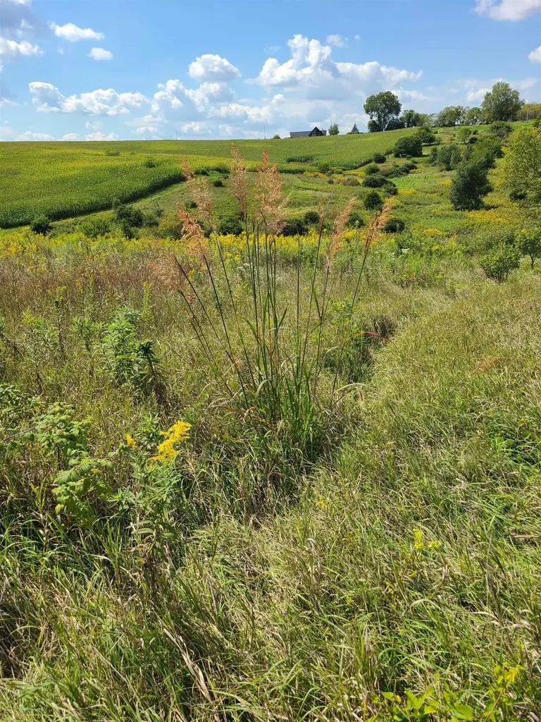 L2 N Hay Hollow Road, Blanchardville, WI 53516 - #3