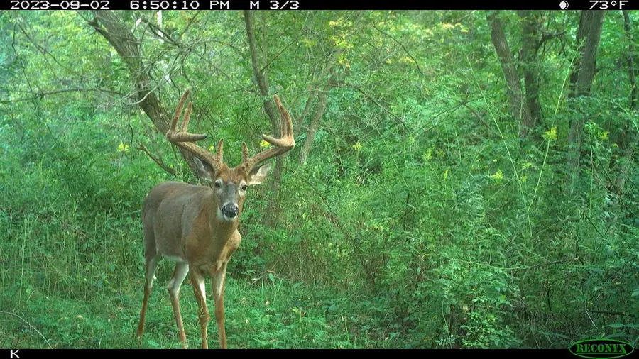 00 Wheat Hollow Road, Cazenovia, WI 53924 - #3