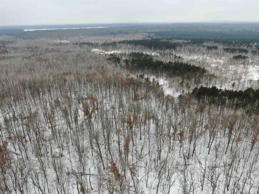 81.64 AC 28th St Acres, New Lisbon, WI 53950 - #2