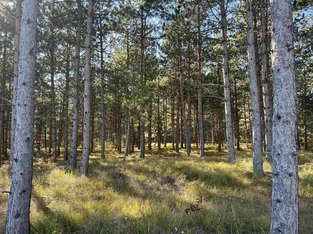 Lot 4 Luna Lane, Nekoosa, WI 54457 - #1