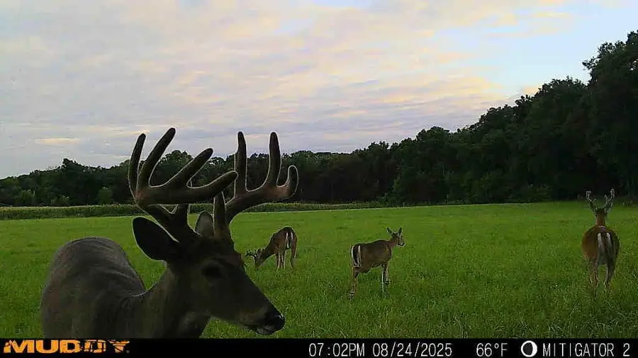 N4893 10th Avenue, Montello, WI 53949 - #2