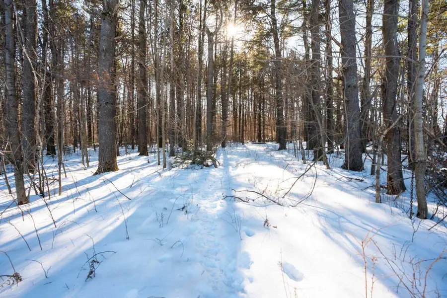 0 County Road FF Road, Merrill, WI 54452 - #3