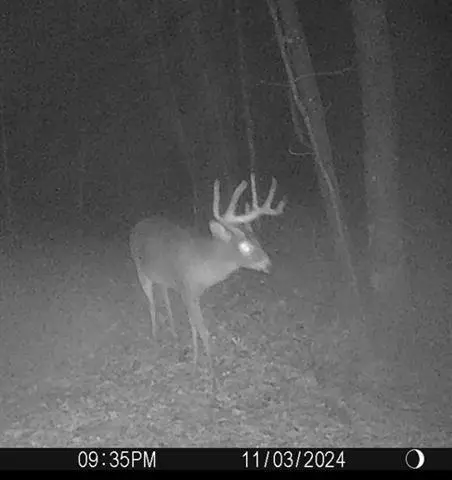 W7113 Leigh Road, Mauston, WI 53948 - #1