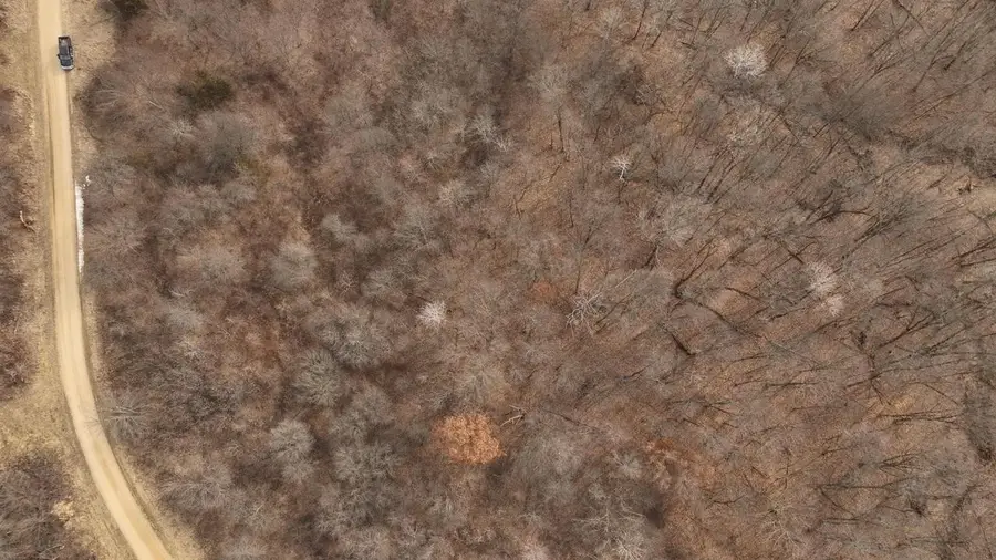 000 Timber Hill Lane, Boscobel, WI 53805 - #3