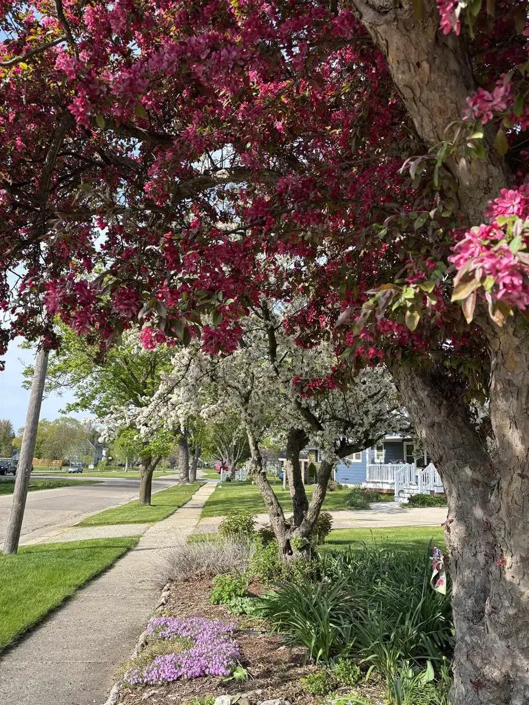 926 Hillcrest Drive, Fort Atkinson, WI 53538 - #3