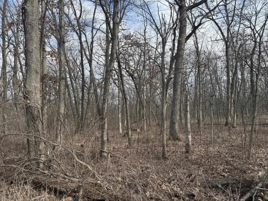 2+/- Acres Biggs Road, Argyle, WI 53504 - #2