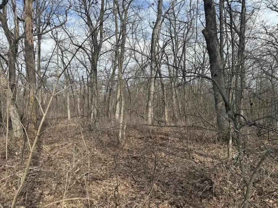 2+/- Acres Biggs Road, Argyle, WI 53504 - #3