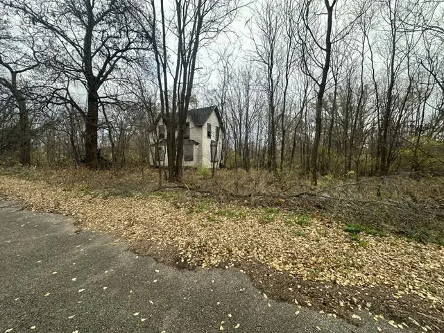 339 S Elm Street, Lone Rock, WI 53556 - #3