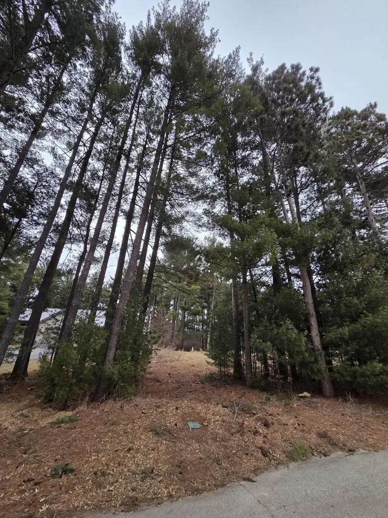 913 Forest Trail, Portage, WI 53901 - #3