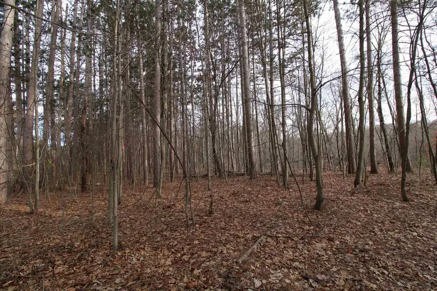 W1775 Dees Road, Lyndon Station, WI 53944 - #3