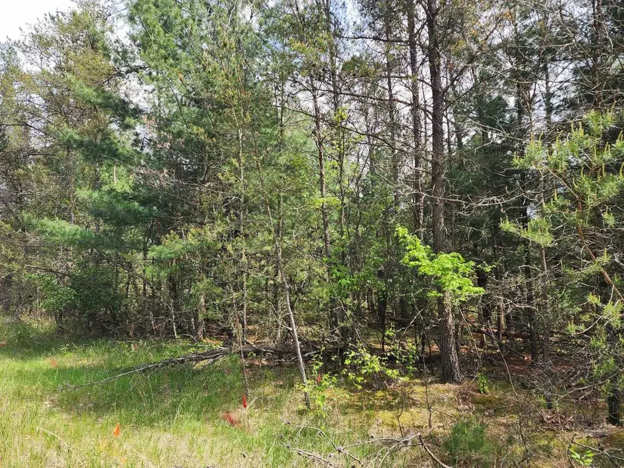 Lot 303 Cypress Drive, Arkdale, WI 54613 - #2