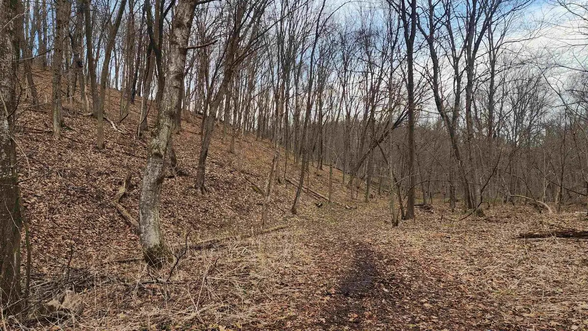 0000 Vineyard Road, Prairie Du Chien, WI 53821 - #1