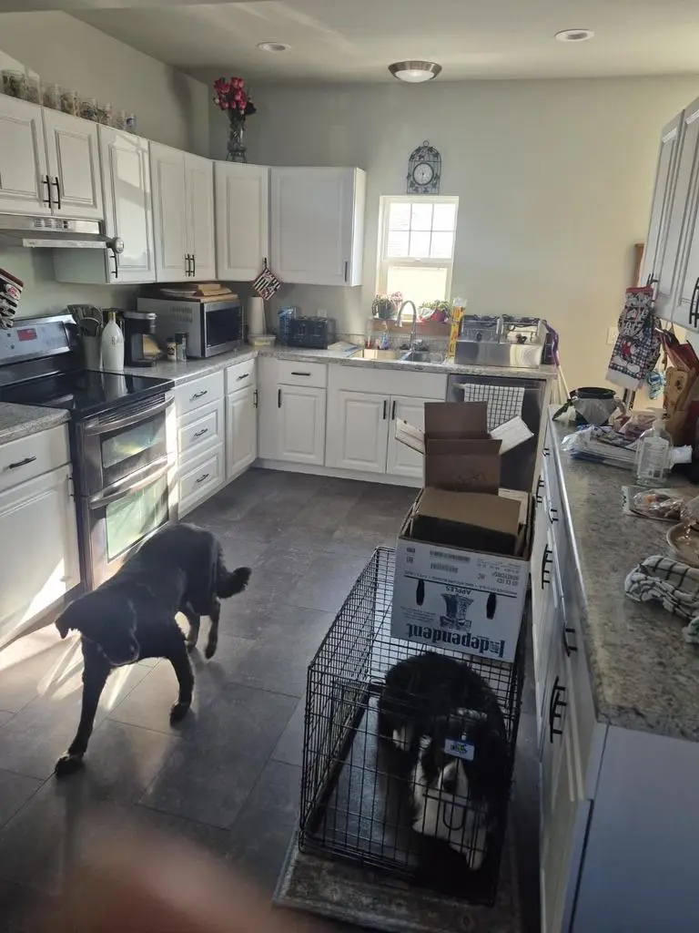 353 S Ludington Street, Columbus, WI 53925 - #2