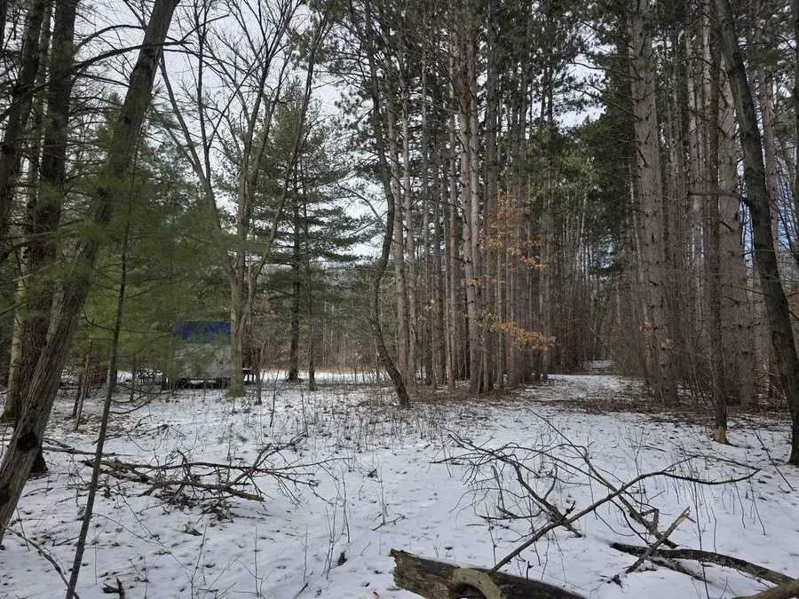 W2806 W Dees Road, Lyndon Station, WI 53944 - #3