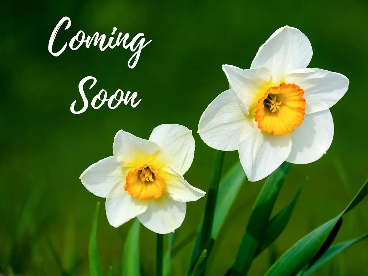 216 Statz Lane, Dane, WI 53529 - #1