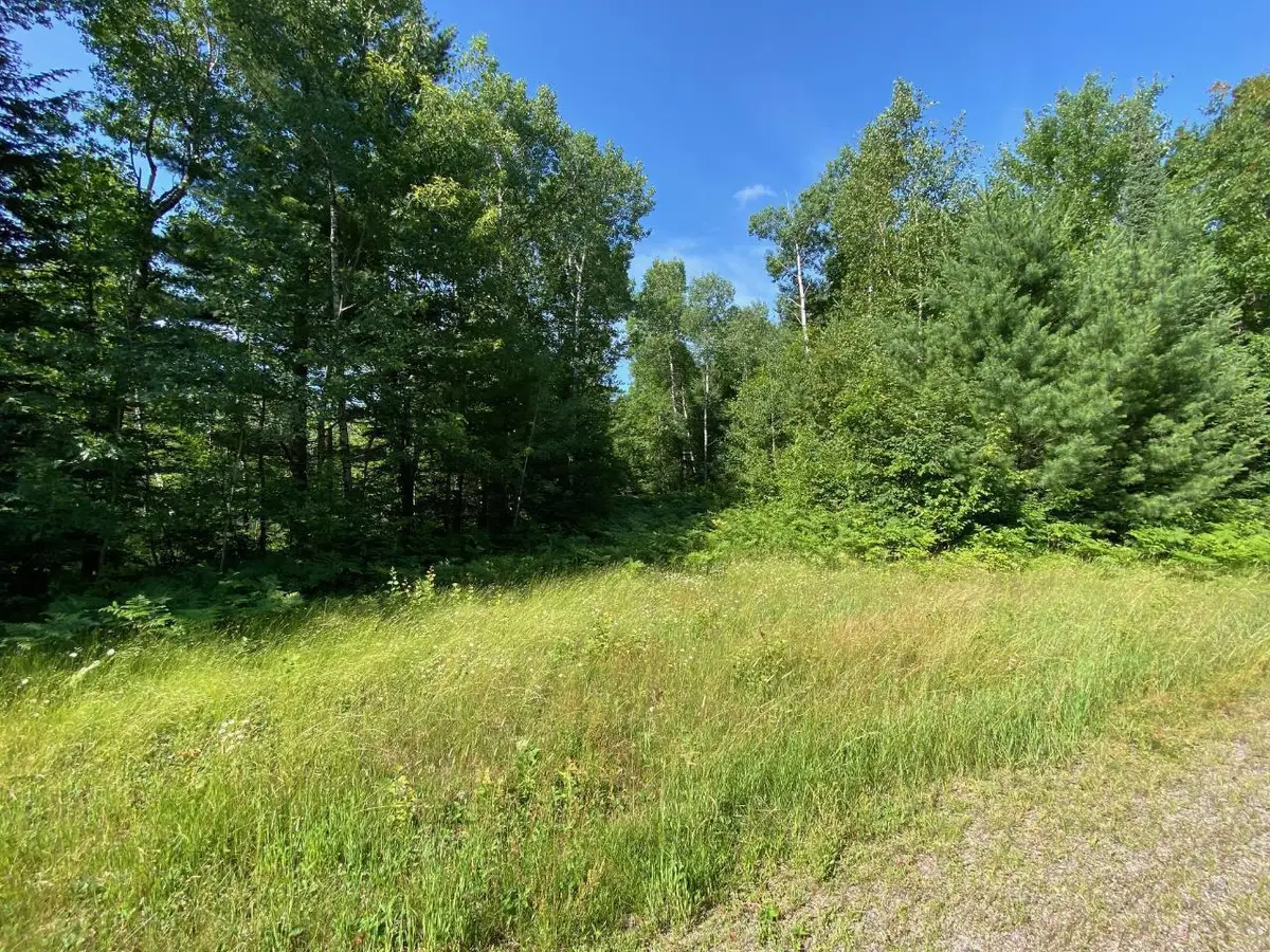 Lot 2 Cambridge Court, Rhinelander, WI 54501 - #1
