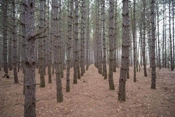 685 17th Drive, Arkdale, WI 54613