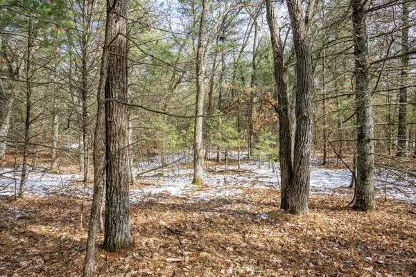 Lot 39 S Badger Lane, Arkdale, WI 54613