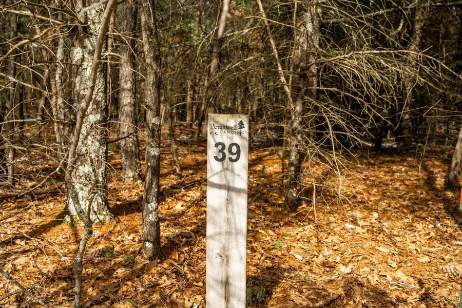 Lot 39 S Badger Lane, Arkdale, WI 54613 - #2