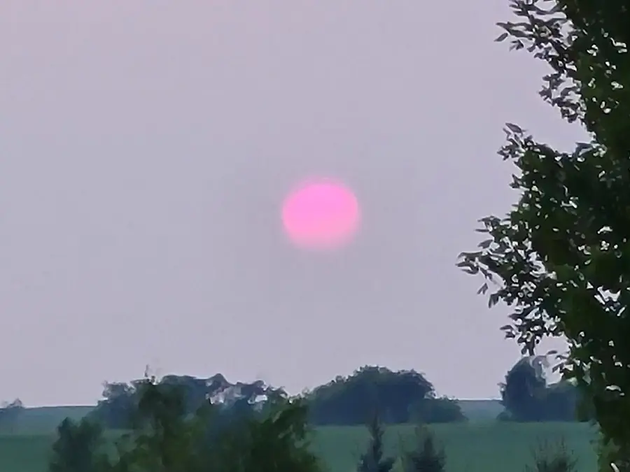 3122 Saddle Brooke Trail, Sun Prairie, WI 53590 - #2