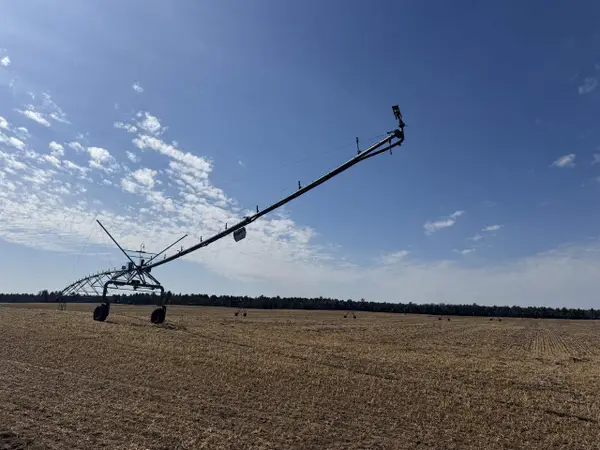 281.68 Acres Buttercup Ave & 16th Avenue, Arkdale, WI 54613