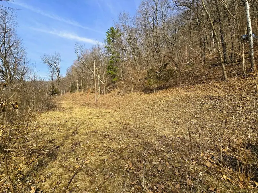 4.1 +/- ACRES HWY 35, De Soto, WI 54624 - #3