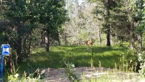 W8408 Elk Avenue, Oxford, WI 53952