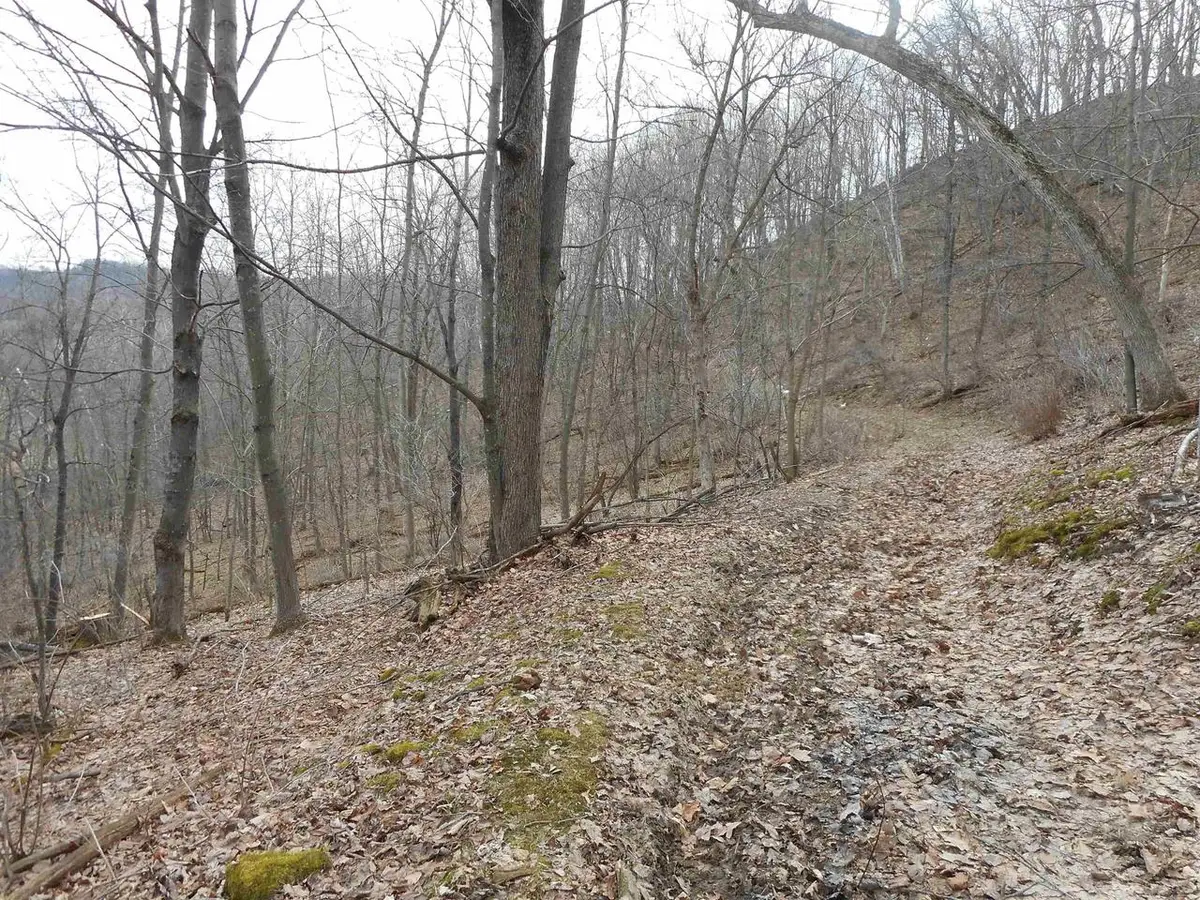 24503 Livingston Road, Wilton, WI 54670 - #1