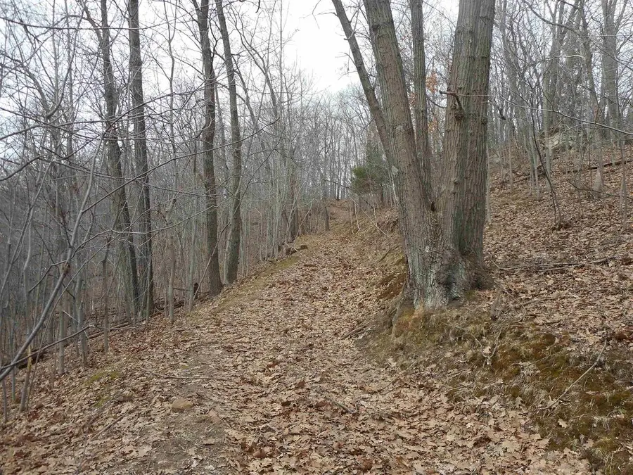 24503 Livingston Road, Wilton, WI 54670 - #2