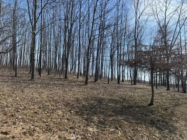 000 County Hwy DD Road, Richland Center, WI 53581 - #3