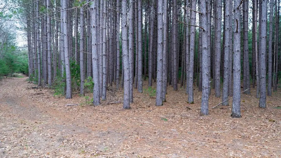 255.45 Ac Dover Drive, Adams, WI 53910 - #3