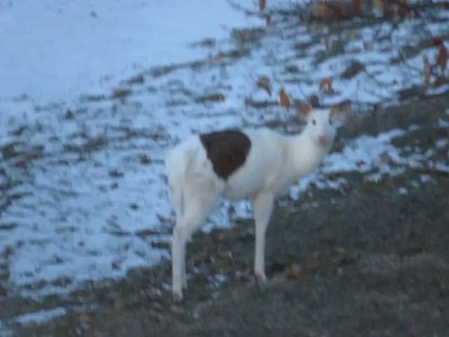 20A Sandusky Road, Hillpoint, WI 53937 - #2