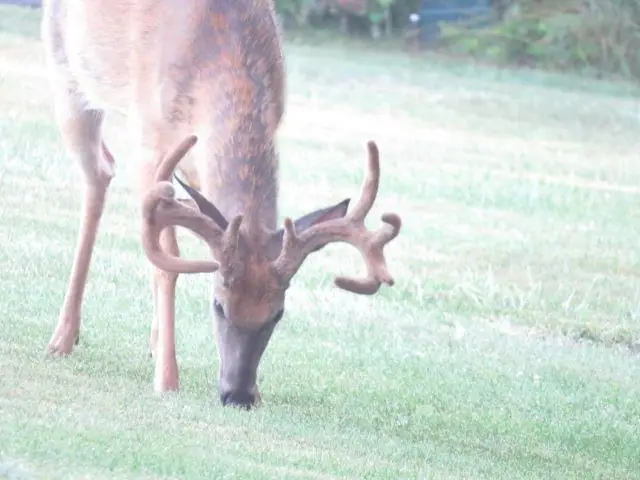 20A Sandusky Road, Hillpoint, WI 53937 - #3