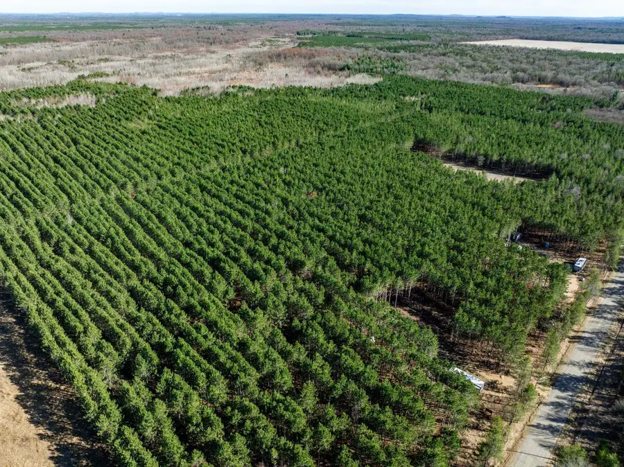 N9238 8th Avenue, New Lisbon, WI 53950 - #2