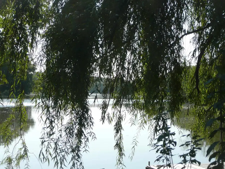 505 Dewey Avenue, Watertown, WI 53094 - #2