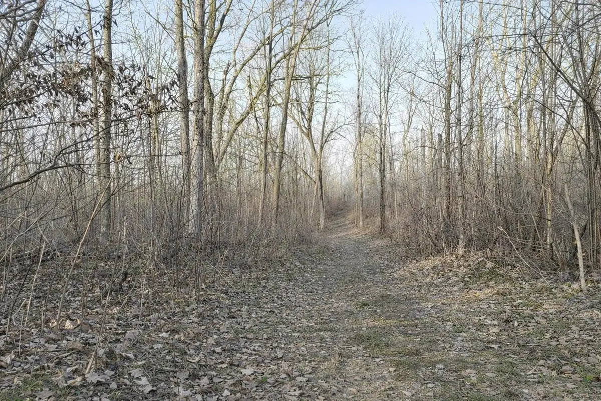 LOT 1 13 1/2 Avenue, Barron, WI 54812 - #1