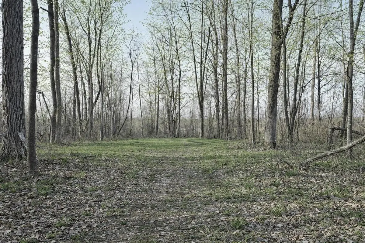 LOT 2 13 1/2 Avenue, New Auburn, WI 54812 - #1