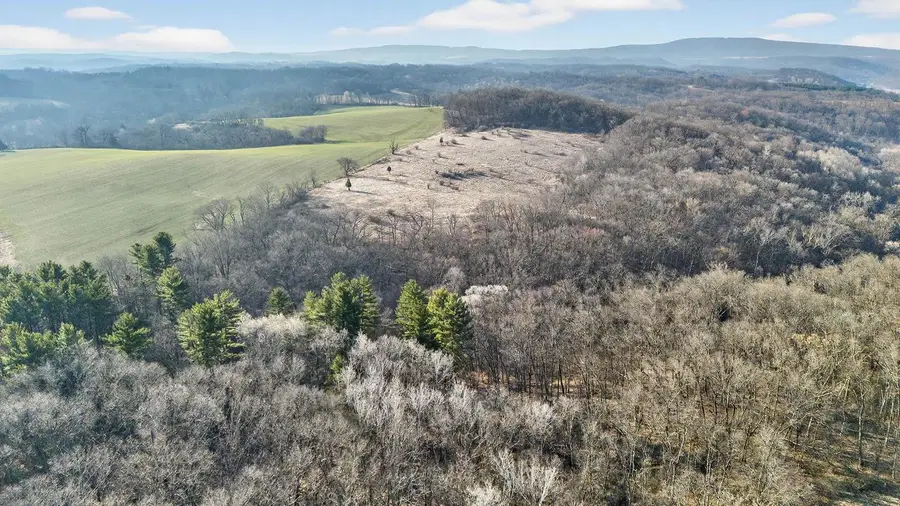 271.18 acres Zwettler/Foster Road, Arena, WI 53503 - #2