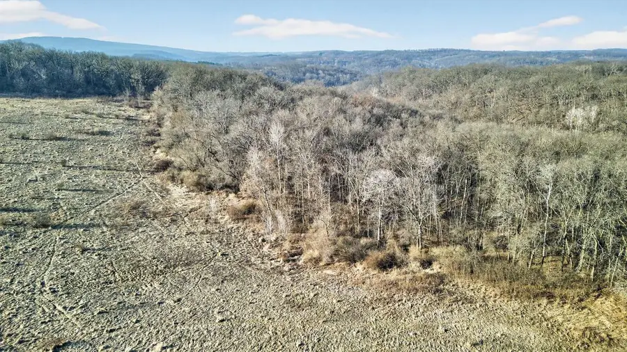 271.18 acres Zwettler/Foster Road, Arena, WI 53503 - #3