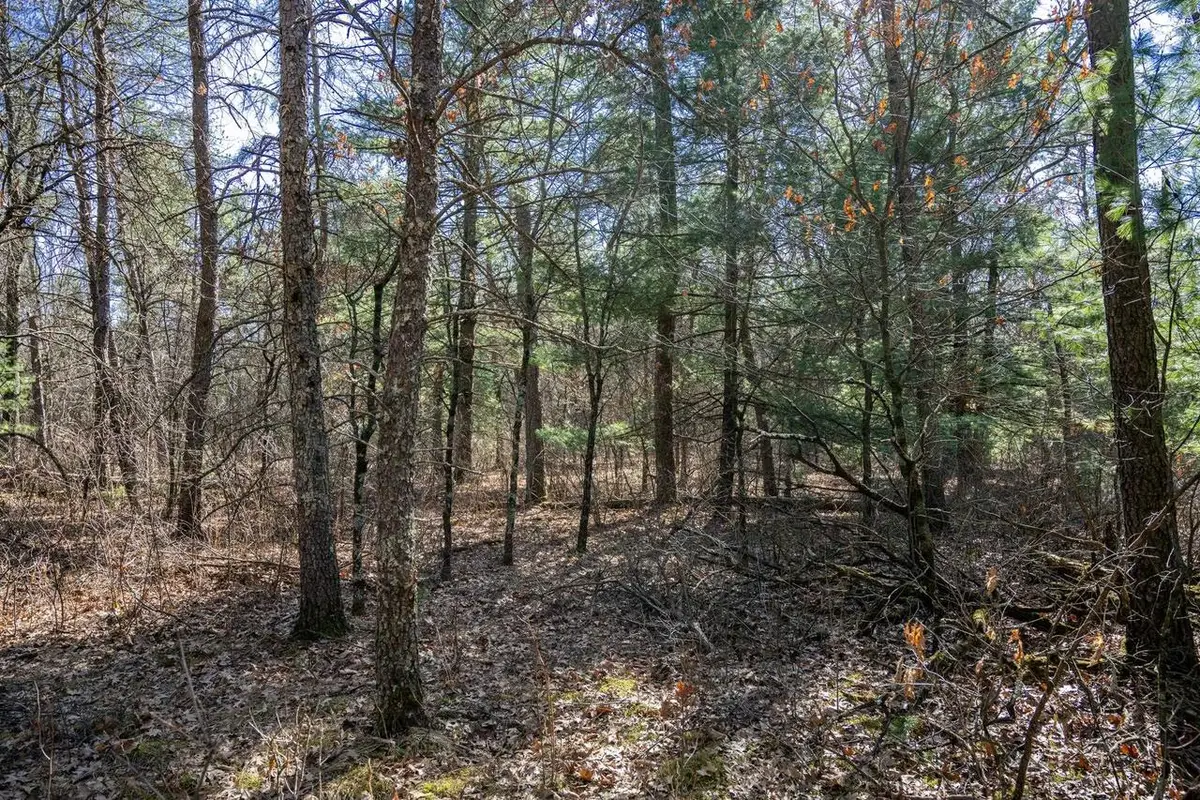 Lot 3 Morros Mile Road, Necedah, WI 54646 - #1