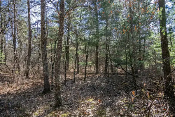 Lot 3 Morros Mile Road, Necedah, WI 54646