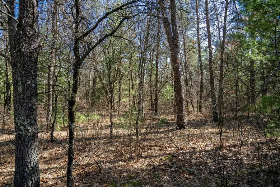 Lot 3 Morros Mile Road, Necedah, WI 54646 - #2