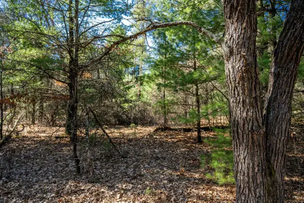 Lot 4 Morros Mile Road, Necedah, WI 54646