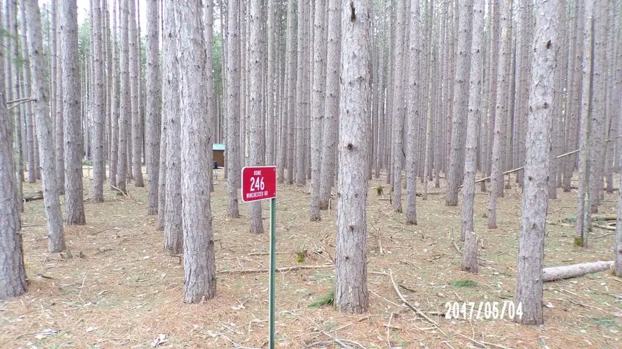 246 Winchester Road, Nekoosa, WI 54457 - #2