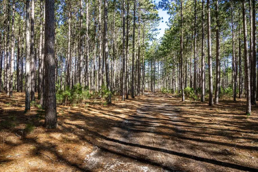 W6718 18th Street, Necedah, WI 54646 - #2