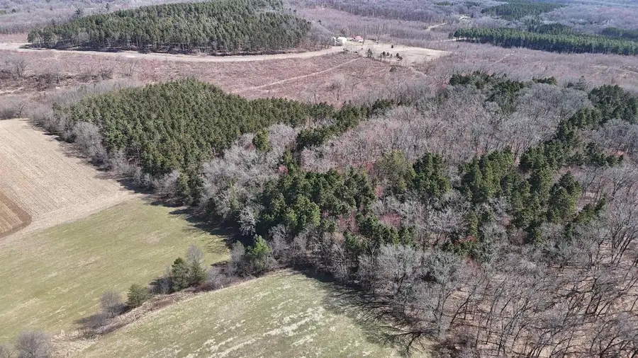 40 acres Town Hall Road, Lyndon Station, WI 53944 - #3